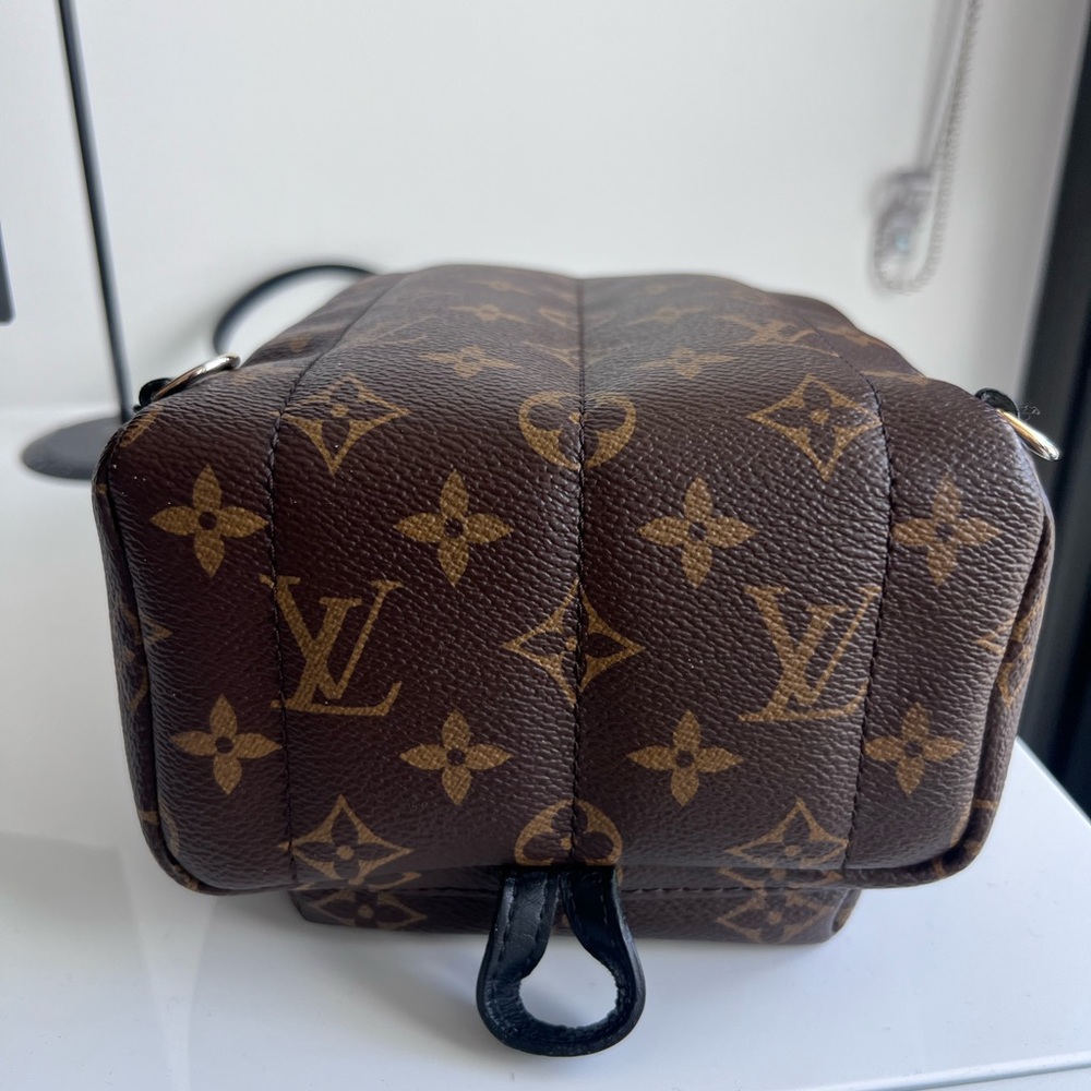 Louis Vuitton Palm Spring Mini Backpack - Picture 7 of 8
